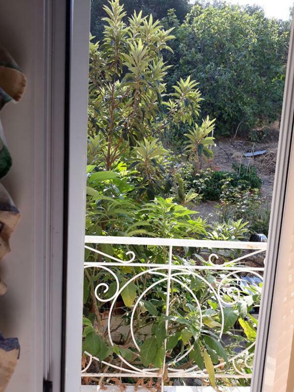 Villa Victoria Corfu Ágios Matthaíos Dış mekan fotoğraf